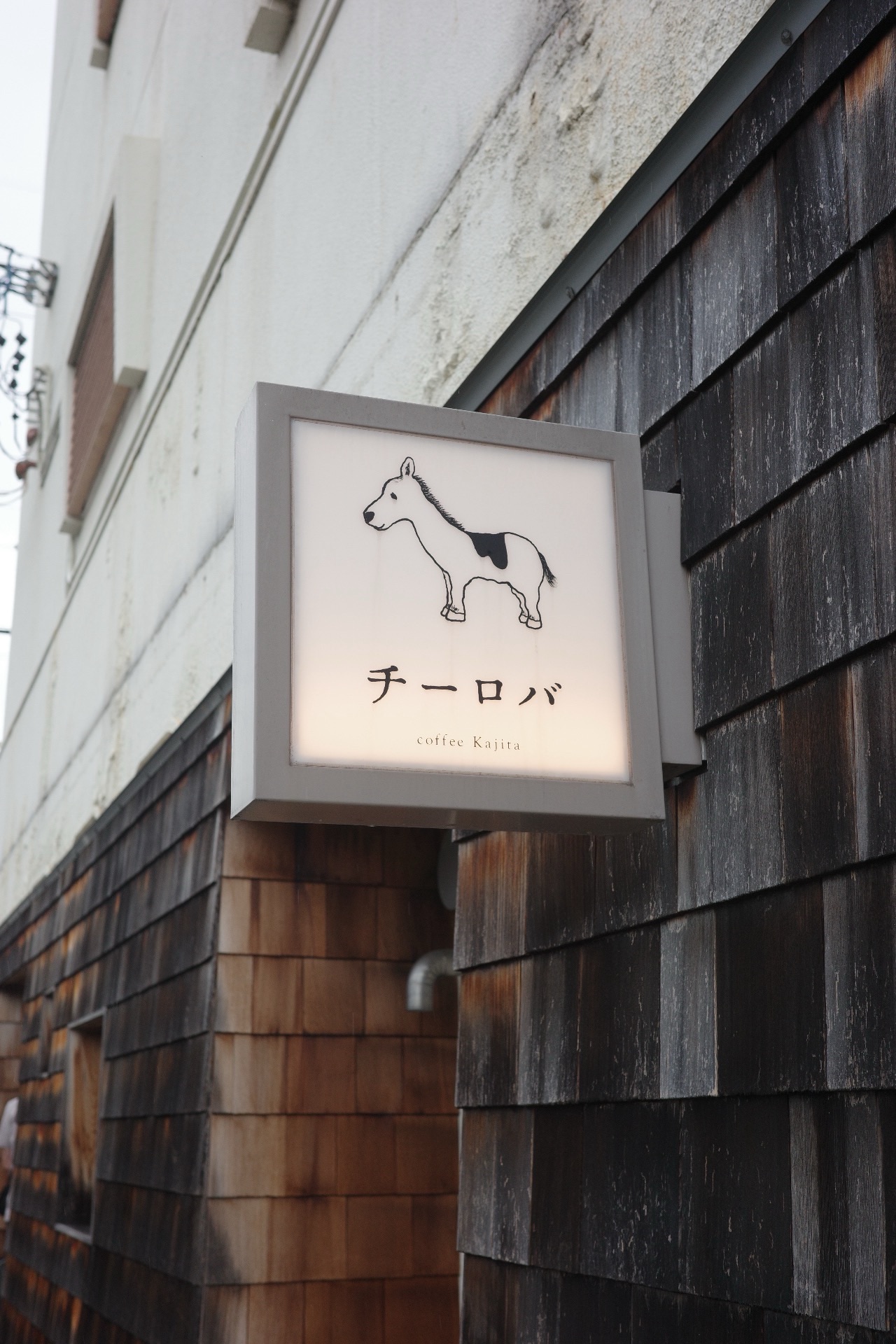 チーロバ(愛知)